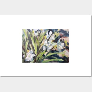 White Daffodils Posters and Art